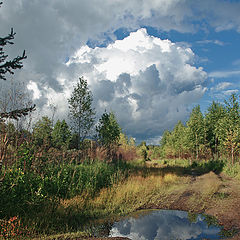 фото "Осколок неба"