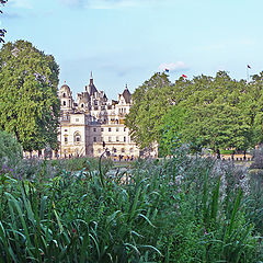 photo "London jungle"