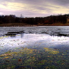 photo "Lake Botanical Garden"