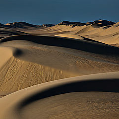 photo "Dunes 05"