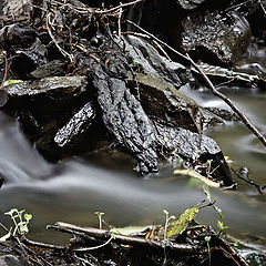 photo "time is fleeting"