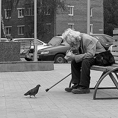 фото "Он и голуби"