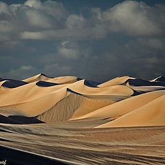 фото "Dunes 05"