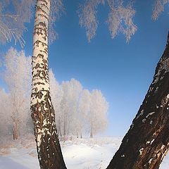 фото "На восходе в один из последних зимних дней"