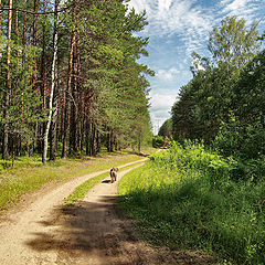 фото "Дрожь небес"