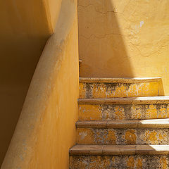 фото "stairs"