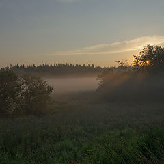 фото "генерация тумана"