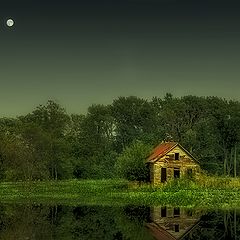 photo "***"