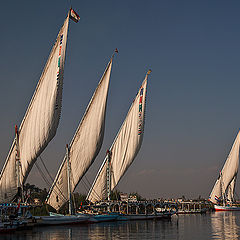 photo "Sailing on the Nile 02"