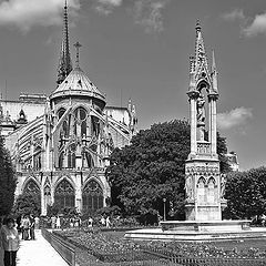 фото "Notre-Dame de Paris"