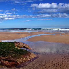 photo "One day at the beach"