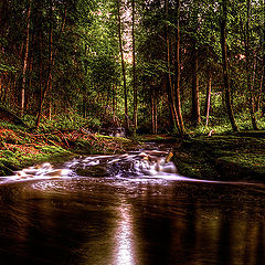 photo "The Creek"