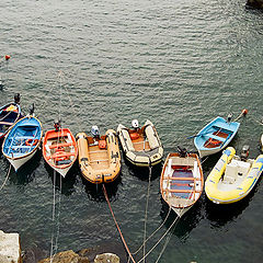 фото "Il porto di Riomaggiore"