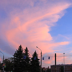 photo "pink Twilight"