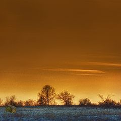 photo "***"
