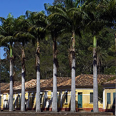 фото "Santa Gertrudes Farm"