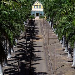 photo "Santa Gertrudes Farm"