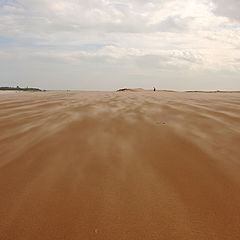 фото "Песчаная позёмка"