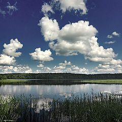 фото "Открытая душа"