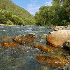 photo "Mountain's river"