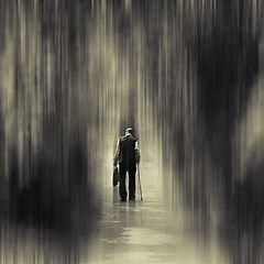 photo "***"
