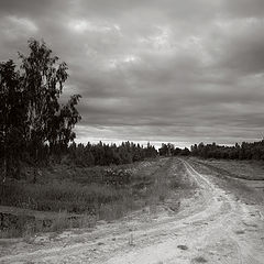 фото "Летний вечер"