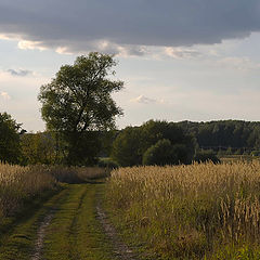 фото "Конец лета."