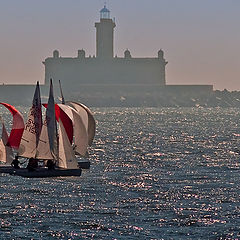 фото "Regatta"