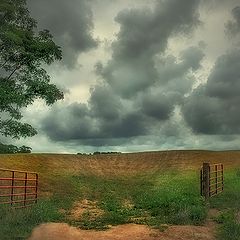 photo "***"