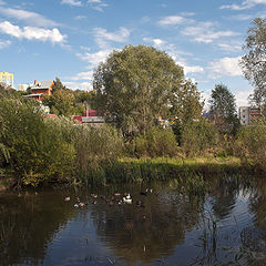 photo "***"
