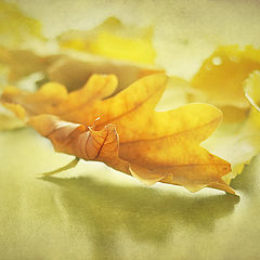 фото "Осенний"