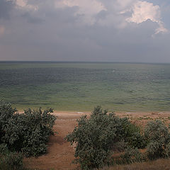 фото "Зелёное море."