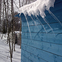 фото "На даче."