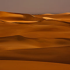 фото "Dunes 08"