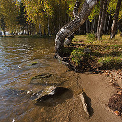 фото "Черноисточинский пруд / 0182_0015"