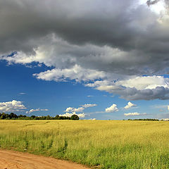 фото "на кромке"