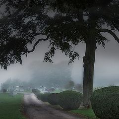 photo "***"