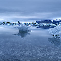 фото "Ice..."