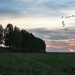 фото "Закат"