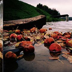 фото "Осенняя"