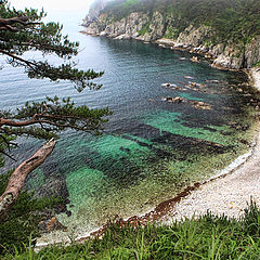 фото "Дальневосточный Морской Заповедник"