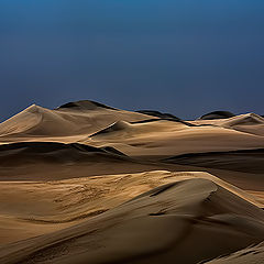 фото "Dunes 08"