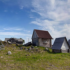 photo "northern summer (Solovetsky Islands)"