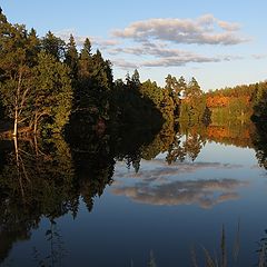 photo "About lumière naturelle"