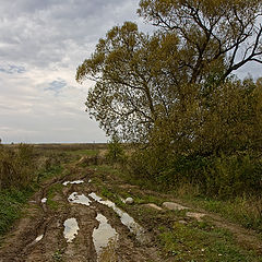 фото "дороги..."