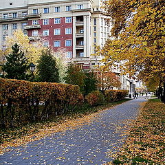 фото "Городская "метель""