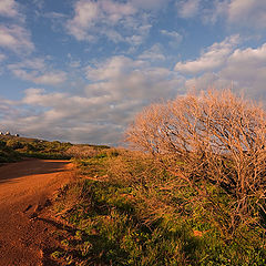 фото "Country road"