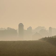 photo "Foggy Farm"