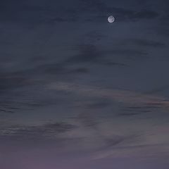 photo "Alone Again"