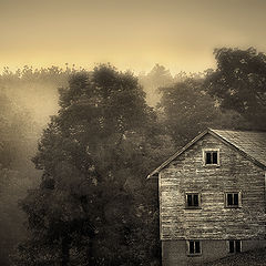 photo "***"